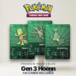 Pokémon Hoenn Pokédex Placeholder 252-386 | Gen 3 Binder Organizer | Printable Pokémon Cards | Master Set Tracker | 300 DPI | ENGLISH